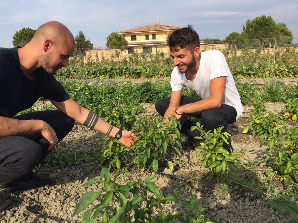 Vila Agriturismo La Casa Di Botro Botricello Exteriér fotografie